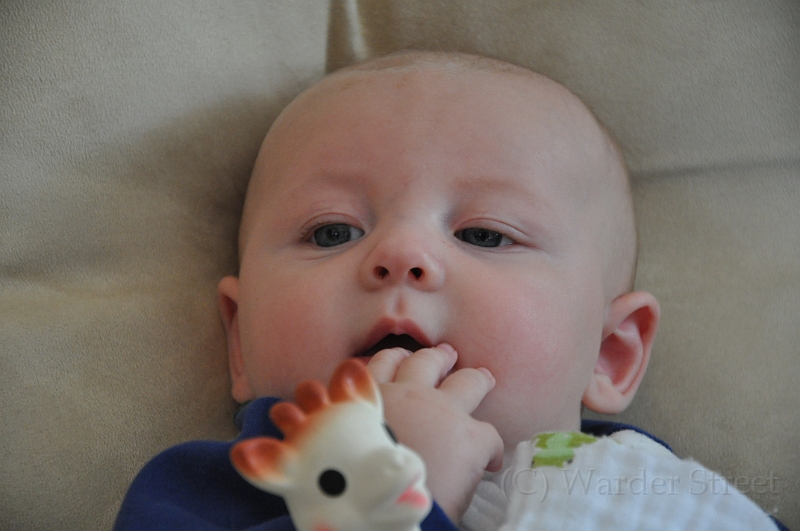 William's Fourteenth Week 03.jpg